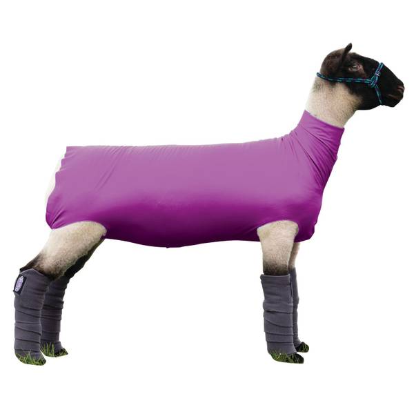 Photo of Spandex Sheep Tube, Purple