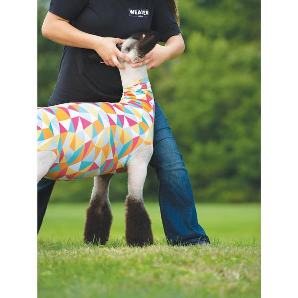 Photo of Spandex Sheep Tube