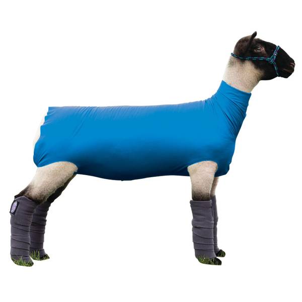 Photo of Spandex Sheep Tube, Blue