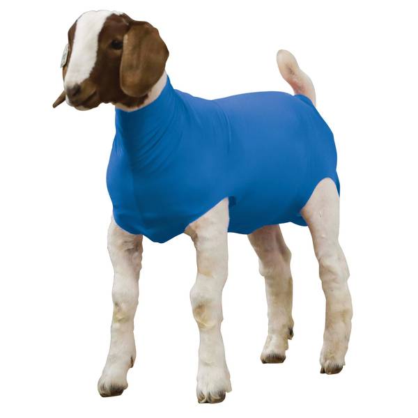 Photo of Spandex Goat Tube, Blue