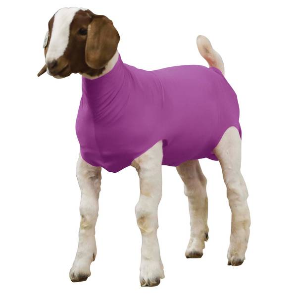 Photo of Spandex Goat Tube, Purple