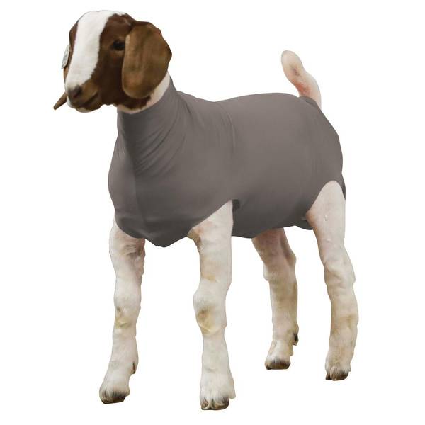 Photo of Spandex Goat Tube, Gray