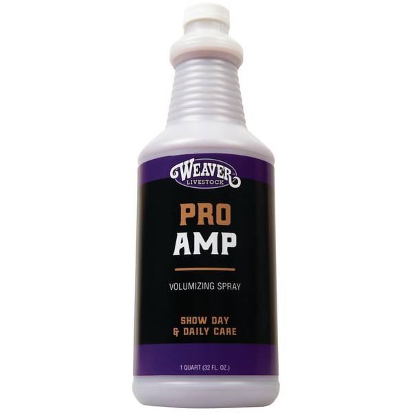 Photo of 1 QT ProAmp