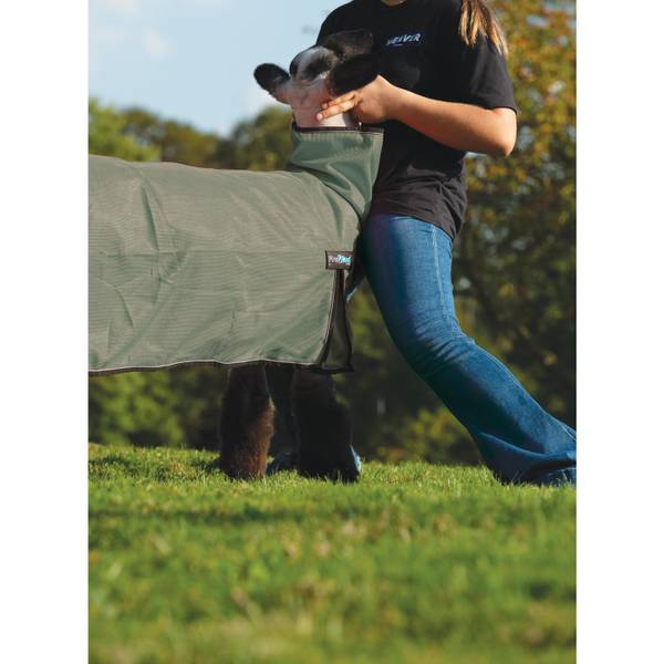 Photo of ProCool Sheep Blanket with Reflective Piping