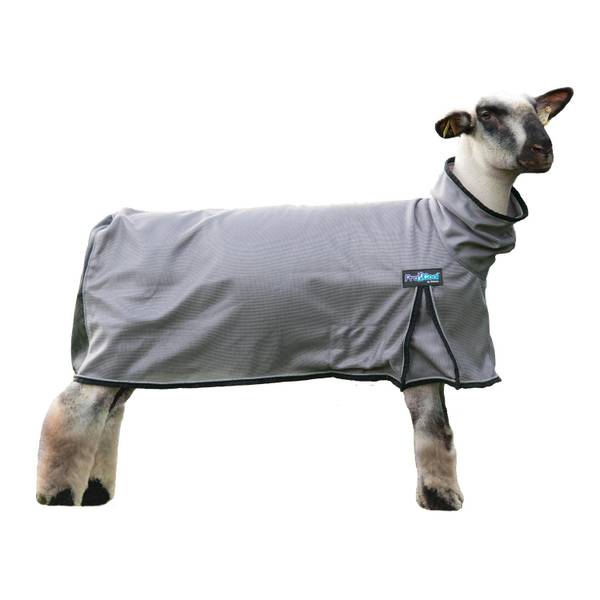 Photo of ProCool Sheep Blanket with Reflective Piping, Gray