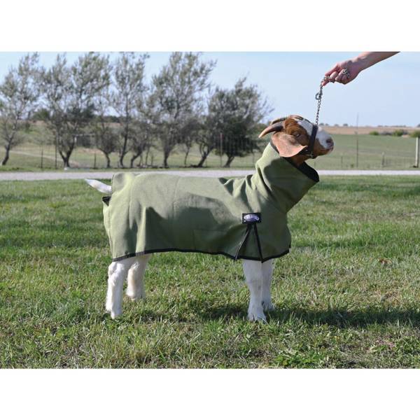 Photo of Goat Blanket