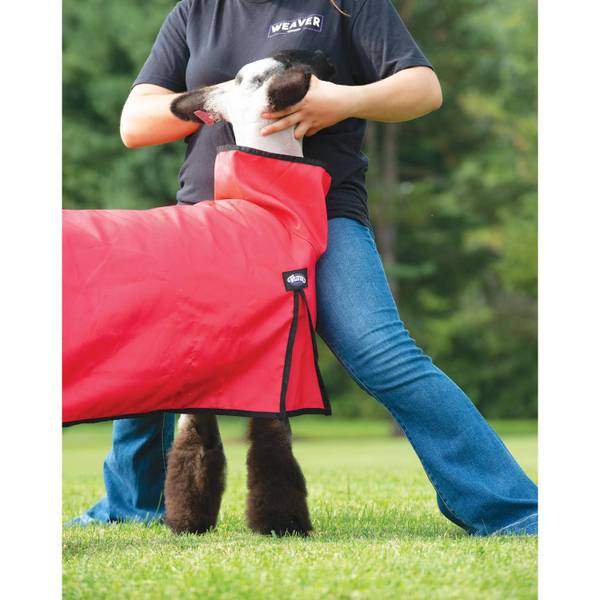 Weaver Leather Medium Livestock Sheep Blanket with Solid Butt 37502