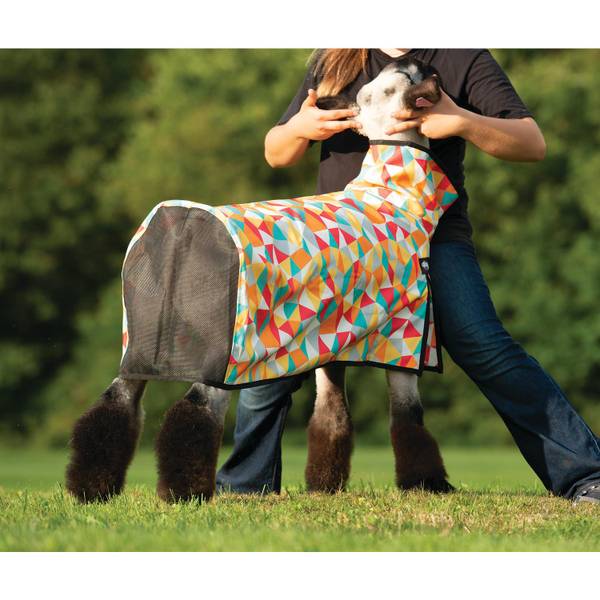 Photo of Sheep Blanket, Mesh Butt