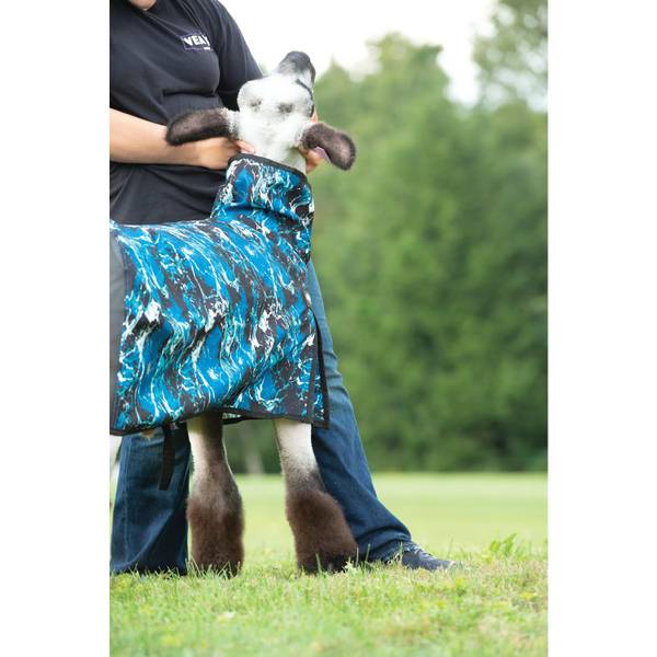 Photo of Sheep Blanket, Mesh Butt