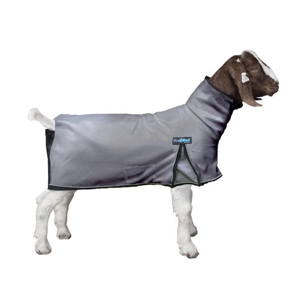 Photo of ProCool Goat Blanket with Reflective Piping, Gray