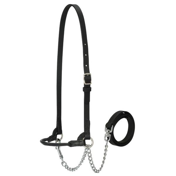 Photo of Dairy Halter, Black