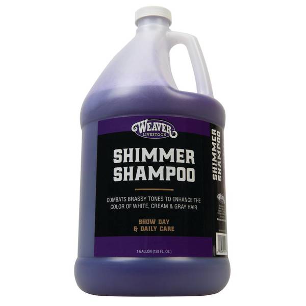 Photo of Purple Shimmer Shampoo