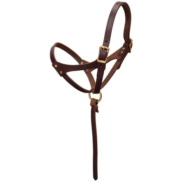 Photo of 5/8" Suckling Figure 8 Foal Halter