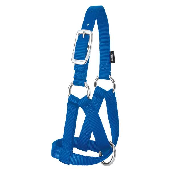 Photo of Nylon Goat Halter, Blue