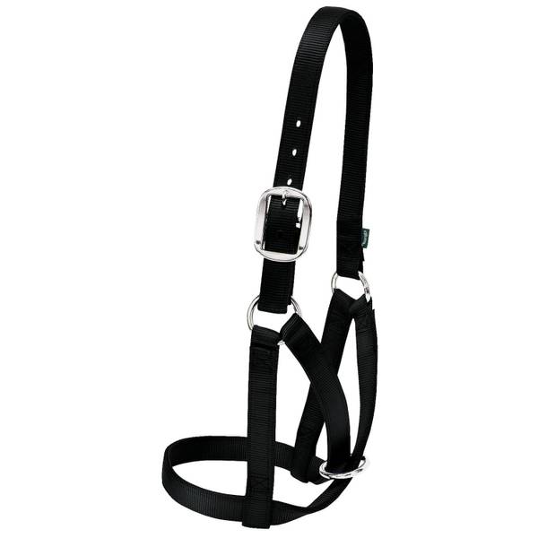 Photo of Barn Cow Halter, Black