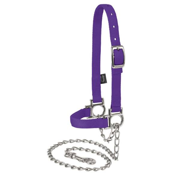 Photo of Adjustable Sheep Halter with Chain Lead