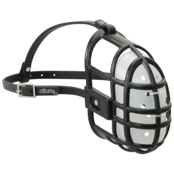 Photo of Plastic Sheep Muzzle