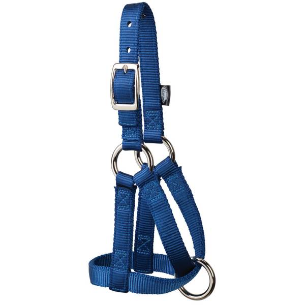 Photo of Nylon Goat Halter, Navy