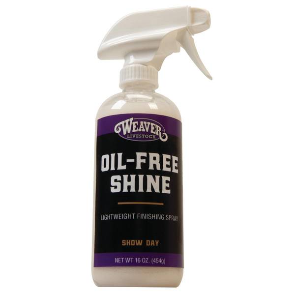 Photo of 16 oz Oil Free Shine