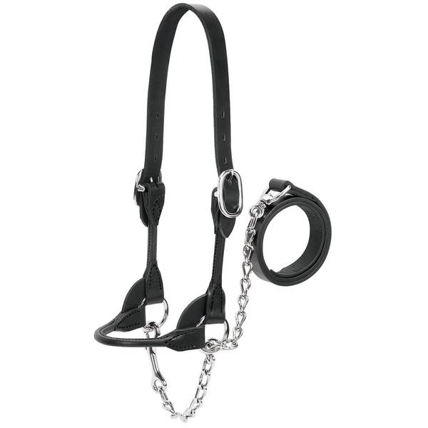 Photo of Dairy/Beef Rounded Show Halter, Black