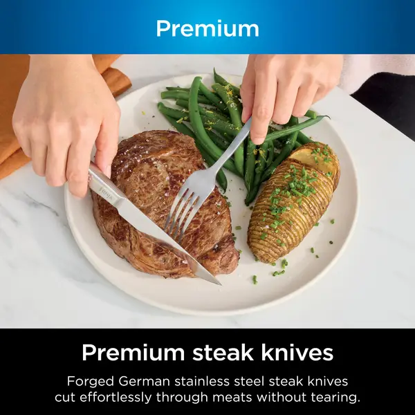  Ninja K62014 Foodi NeverDull Premium 14-Piece German Stainless  Steel Knife System with Built-in Sharpener, Stainless Steel/Black: Home &  Kitchen