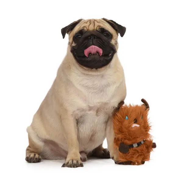 Hyper Pet Critter Skinz - Beaver Squeaker Dog Toy (XLarge)