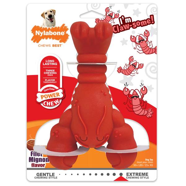 Nylabone large discount