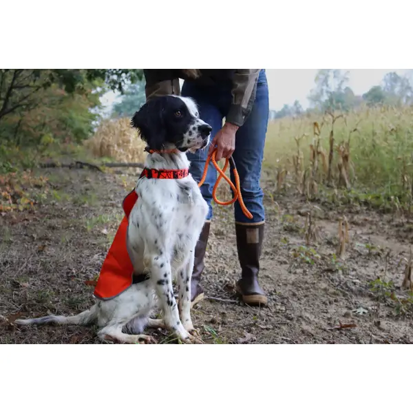 Dog Vest Reflective Reflective Adjustable Safety Vests For Dogs