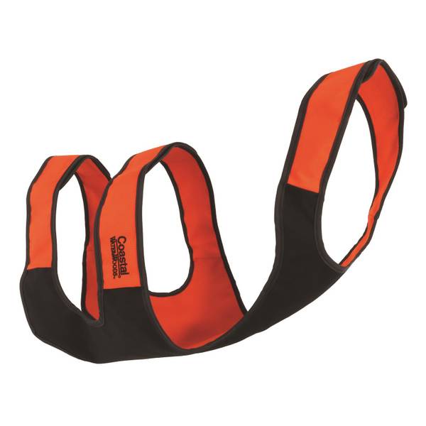 Photo of Orange Dog Chest Protector