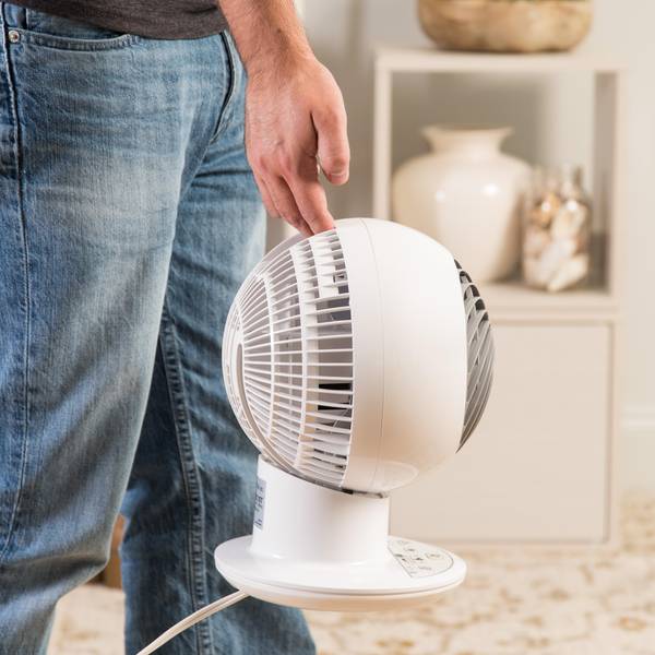 WooZoo Remote Controlled 5-Speed Oscillating Globe Fan - 510027