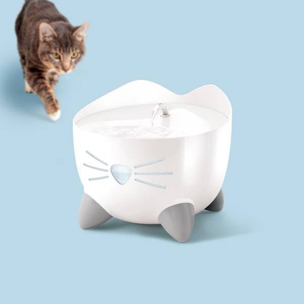 Onewell Pet Bowls for Cats and Small Dogs, Bamboo Elevated Food