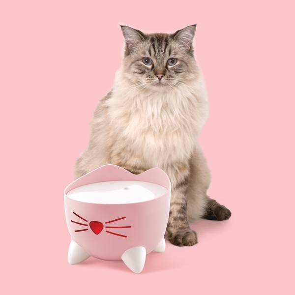Catit Light Pink Pixi Fountain - 43716 | Blain's Farm & Fleet