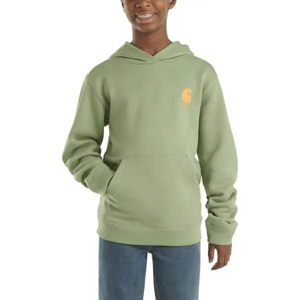 Farm and fleet online carhartt hoodie