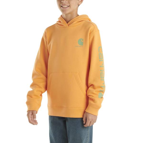 Carhartt blaze on sale orange hooded sweatshirt