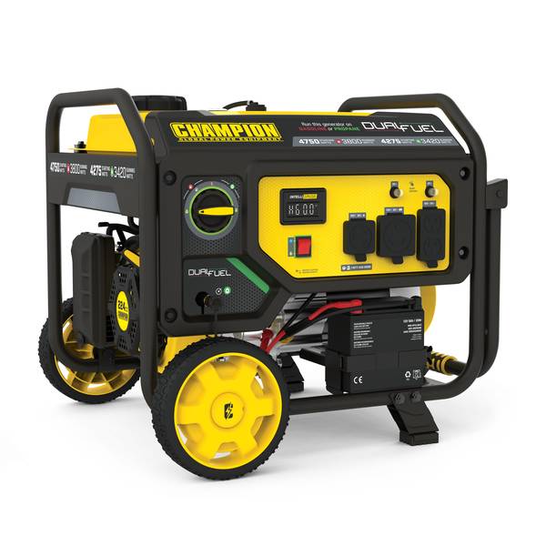 Champion Power Equipment 3800-Watt Dual Fuel Portable Generator with ...