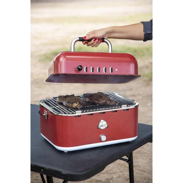 Pit Boss Pit Stop Portable Charcoal Grill with Cover and Bag