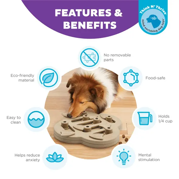 The 3 Benefits of Dog Puzzle Toys