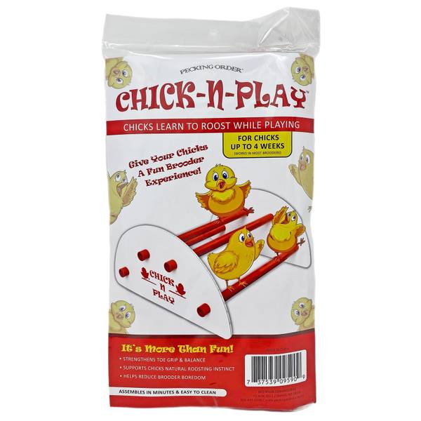 Photo of Chick-N-Play