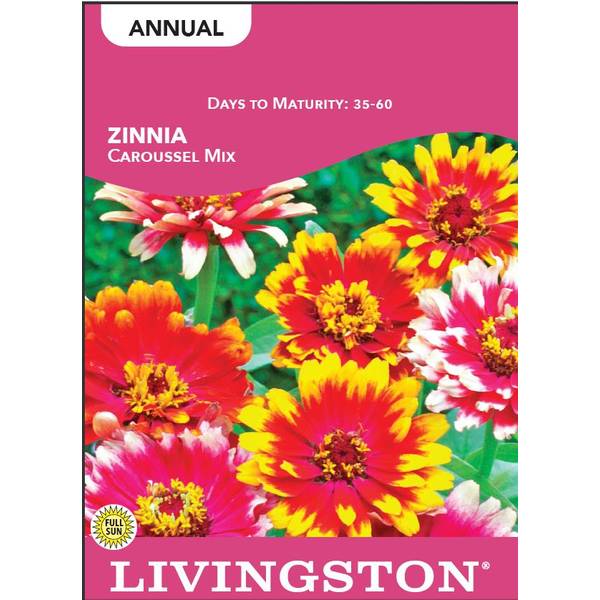 Photo of Caroussel Mix Zinnia
