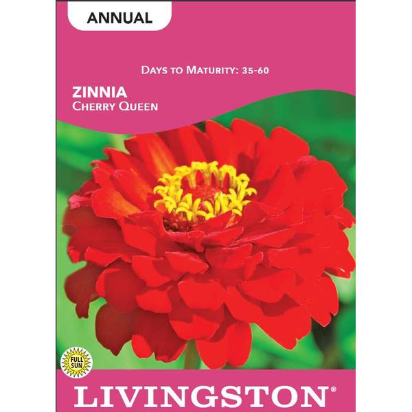 Photo of Cherry Queen Zinnia