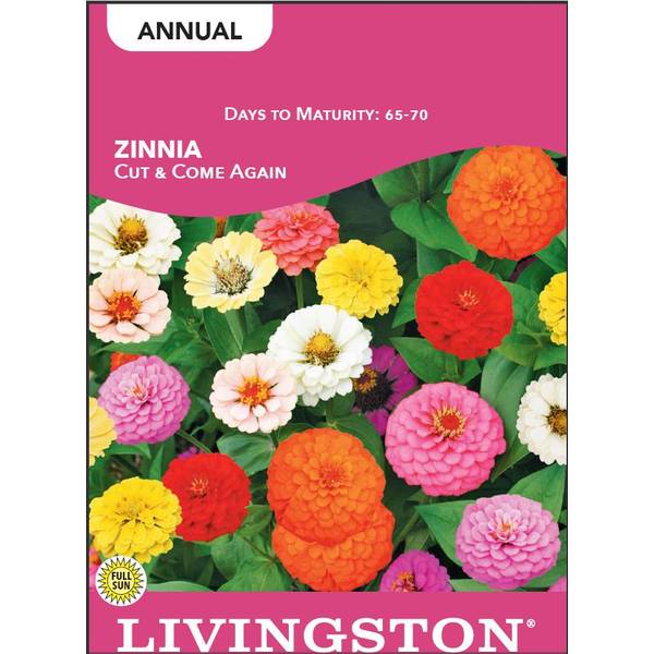 Photo of Cut and Come Again Zinnia