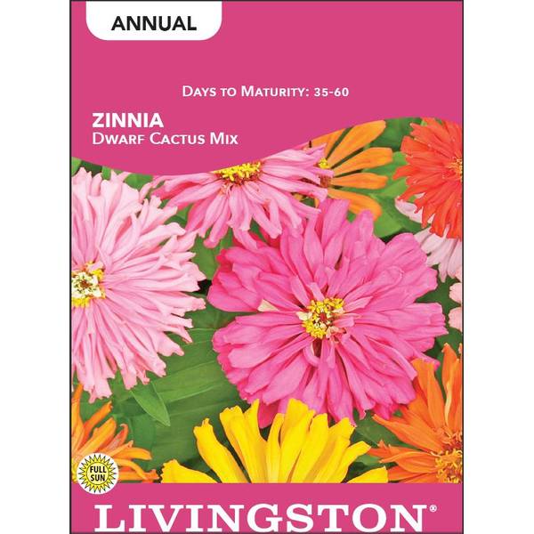 Photo of Dwarf Cactus Mix Zinnia