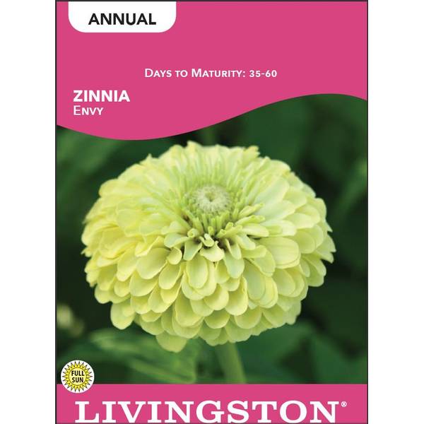 Photo of Envy Zinnia