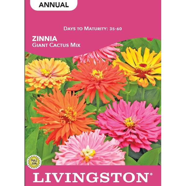 Photo of Giant Cactus Mix Zinnia