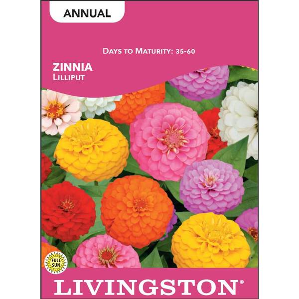 Photo of Lilliput Zinnia