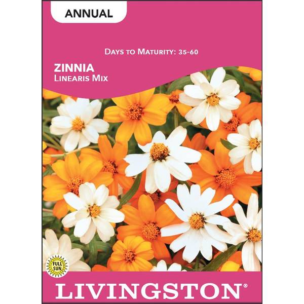 Photo of Linearis Mix Zinnia