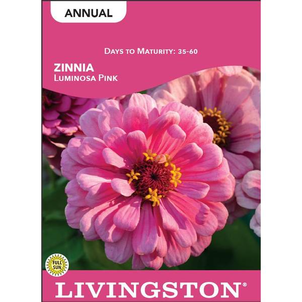 Photo of Luminosa Pink Zinnia