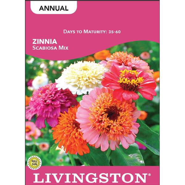Photo of Scabiosa Mix Zinnia