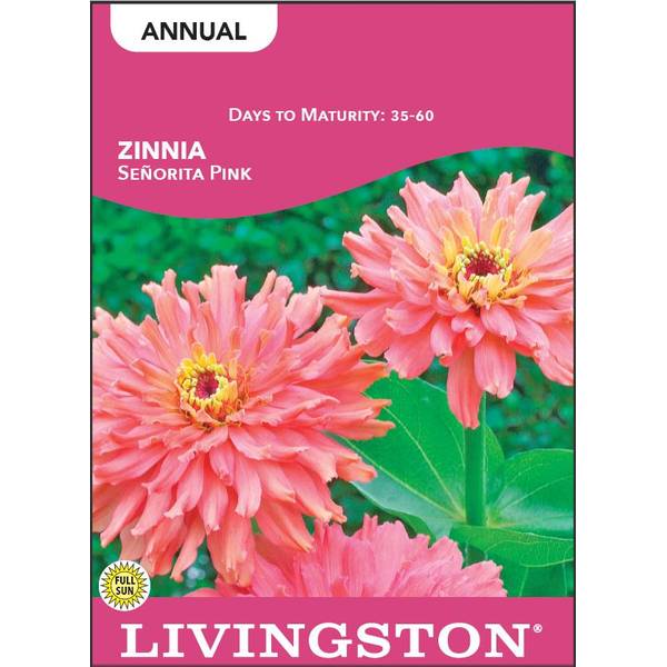 Photo of Senorita Pink Zinnia