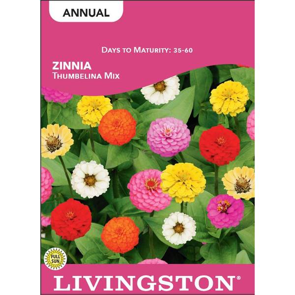 Photo of Thumbelina Mix Zinnia